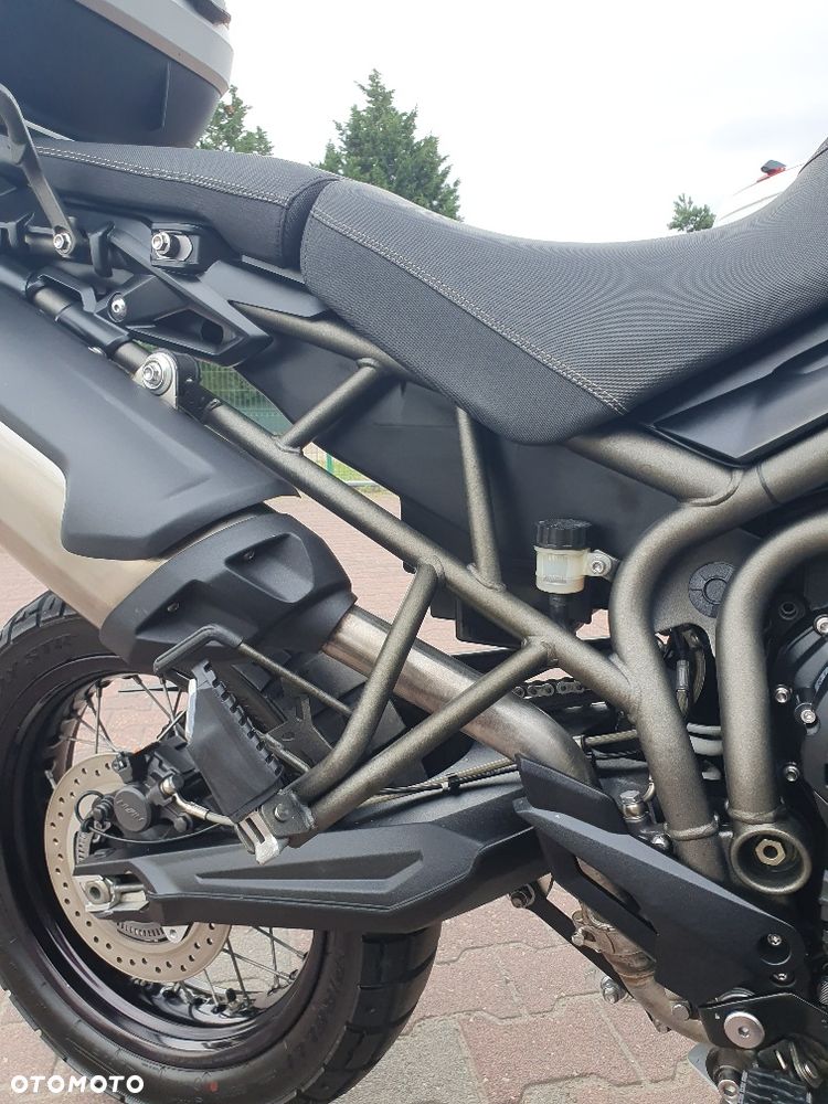 Triumph Tiger - 31