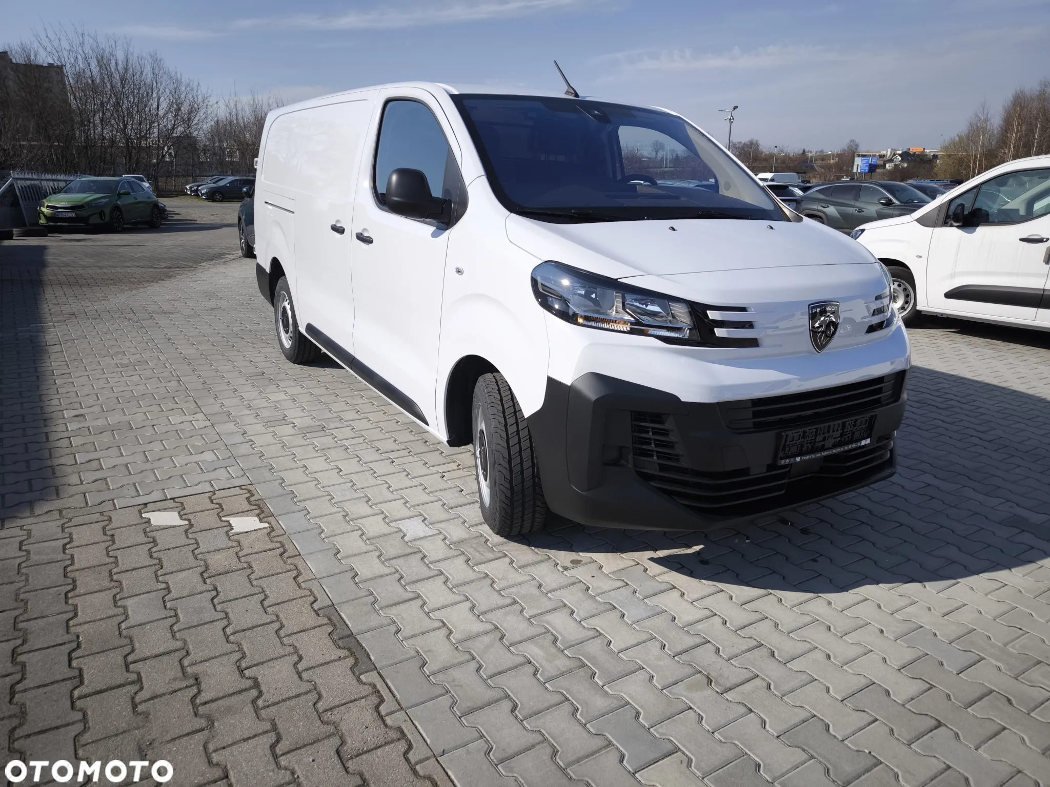 Peugeot Expert Furgon Long - 3