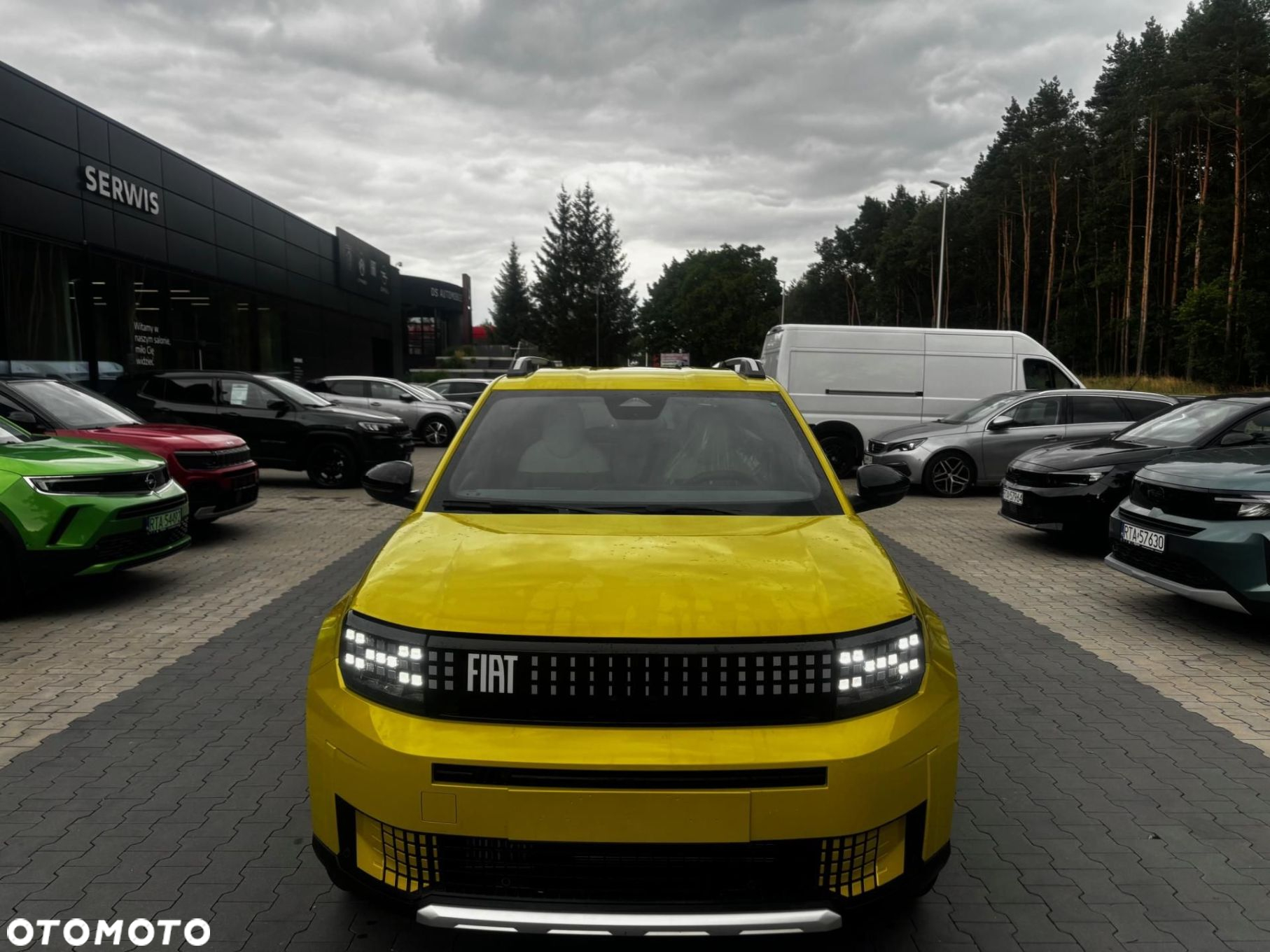 Fiat Grande Panda - 2