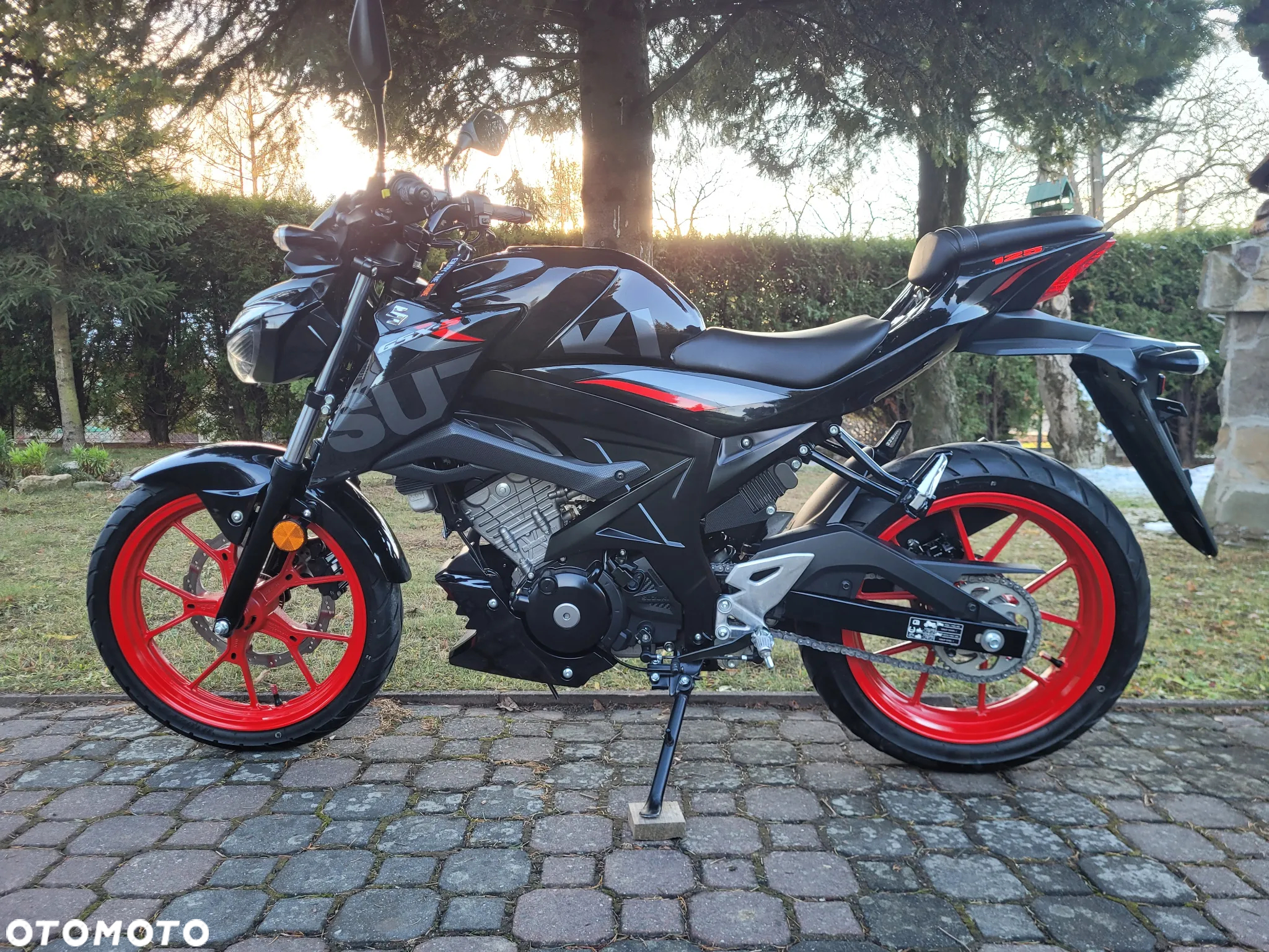 Suzuki GSX - 12