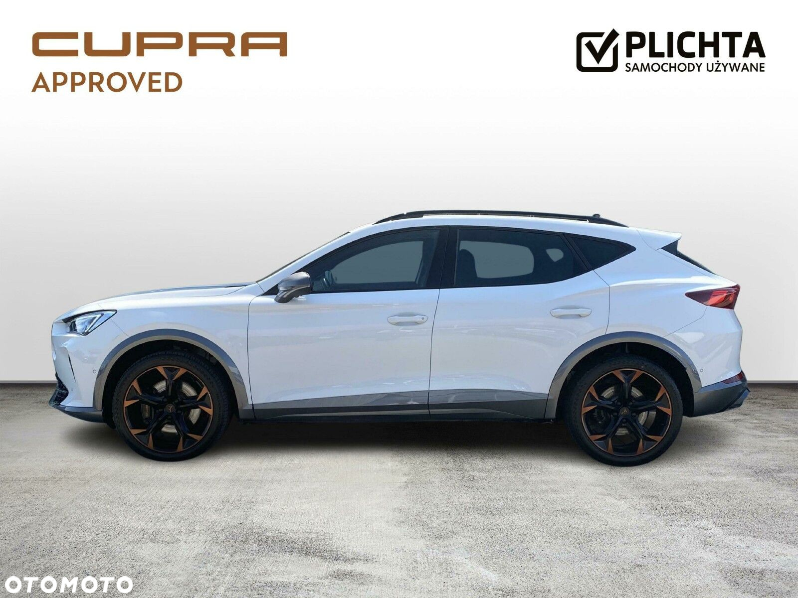 Cupra Formentor 2.0 TSI 4Drive VZ DSG - 2