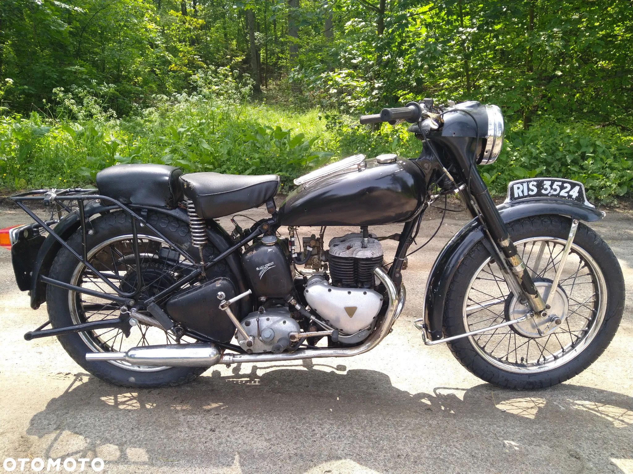 Triumph Inny - 1