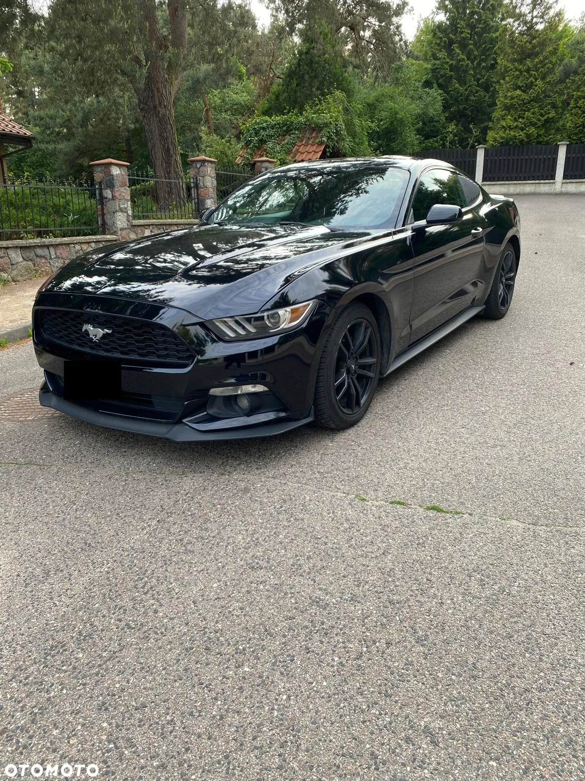 Ford Mustang - 3