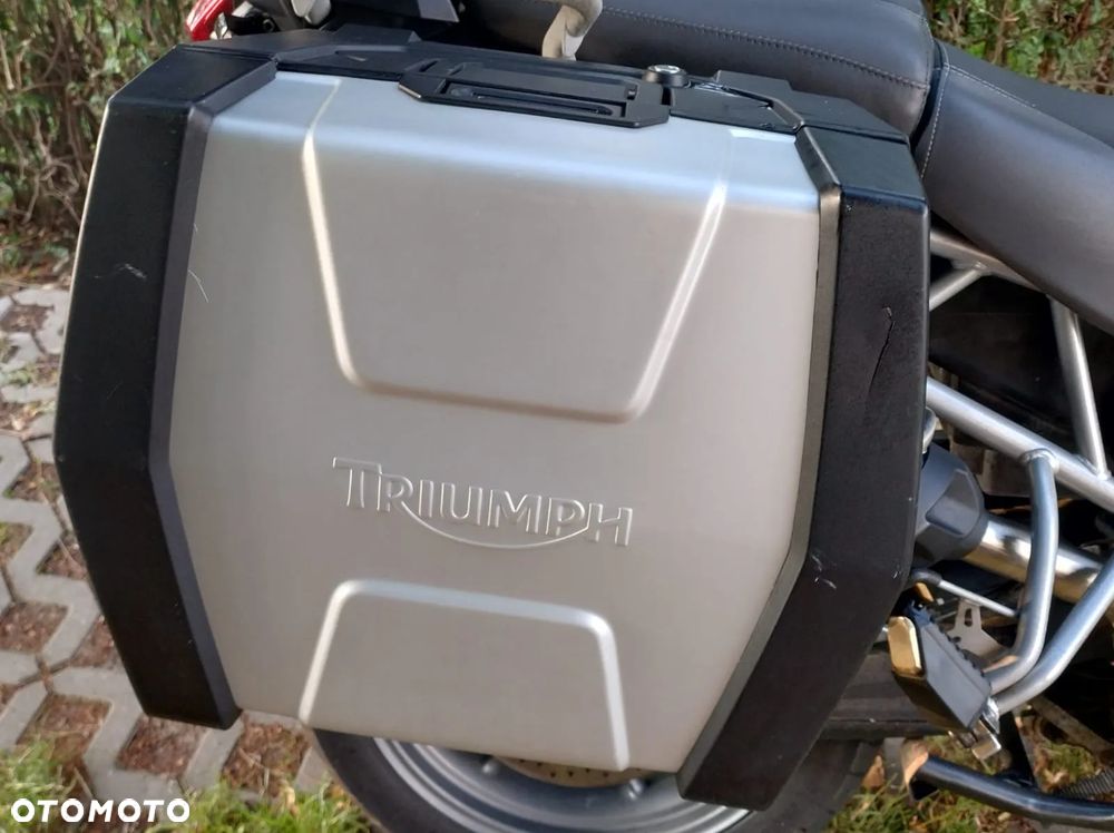 Triumph Tiger - 21