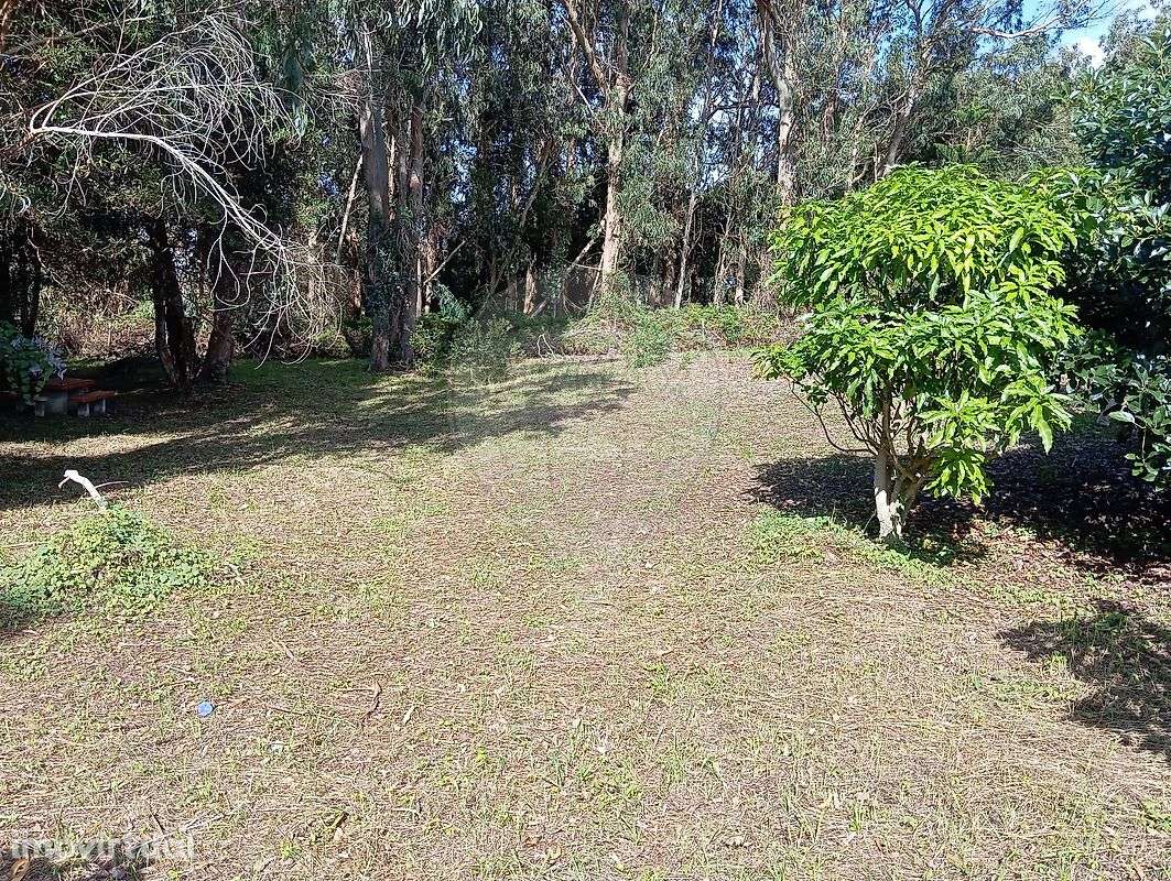 Terreno  para venda - Grande imagem: 5/10