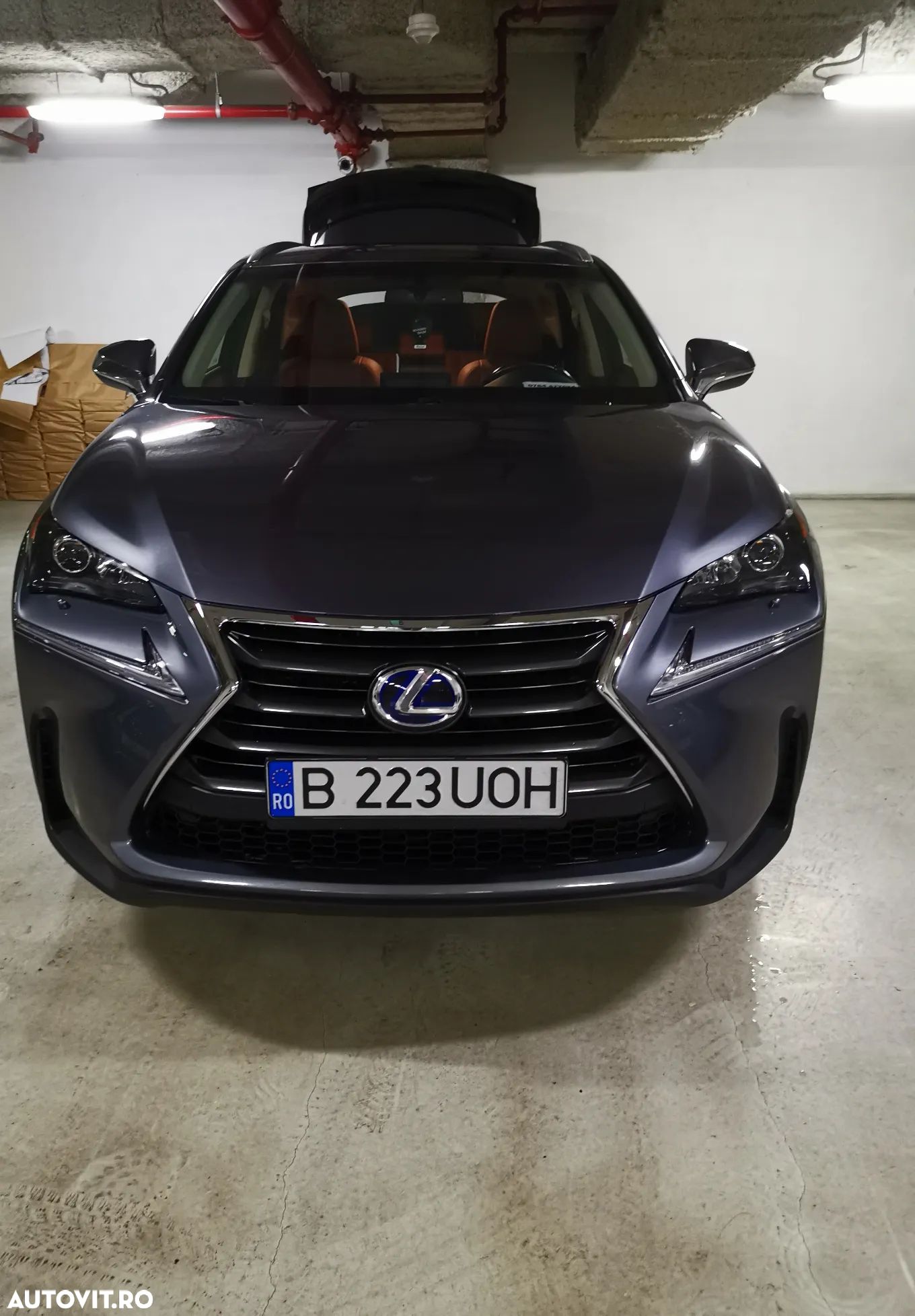Lexus Seria NX 300h Executive - 1