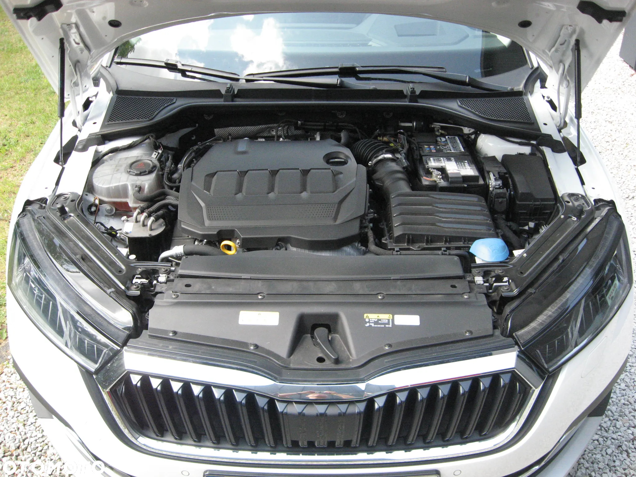 Skoda Octavia 2.0 TDI 4x4 Scout DSG - 31