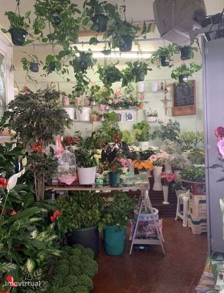 Oportunidade Comercial em Queluz | Loja Pronta a Trabalhar | 90.000 € - Grande imagem: 2/12