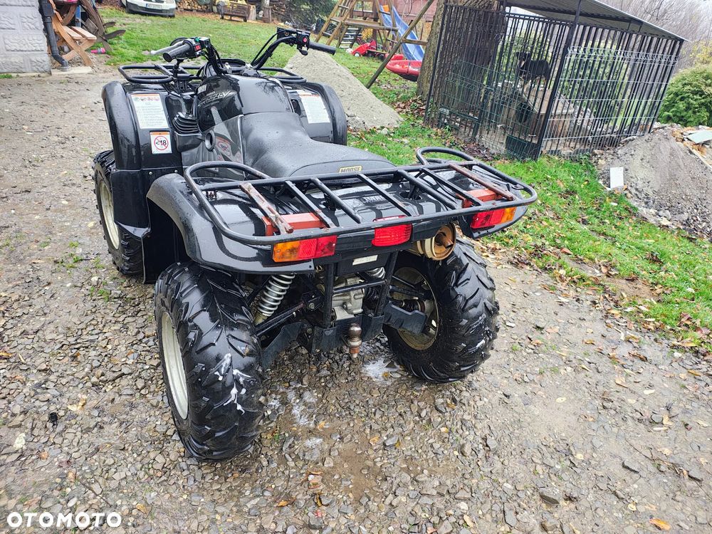Yamaha Grizzly