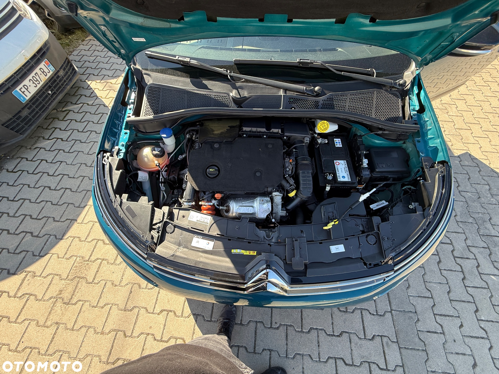 Citroën C4 Cactus 1.5 BlueHDi Shine EAT6 - 23