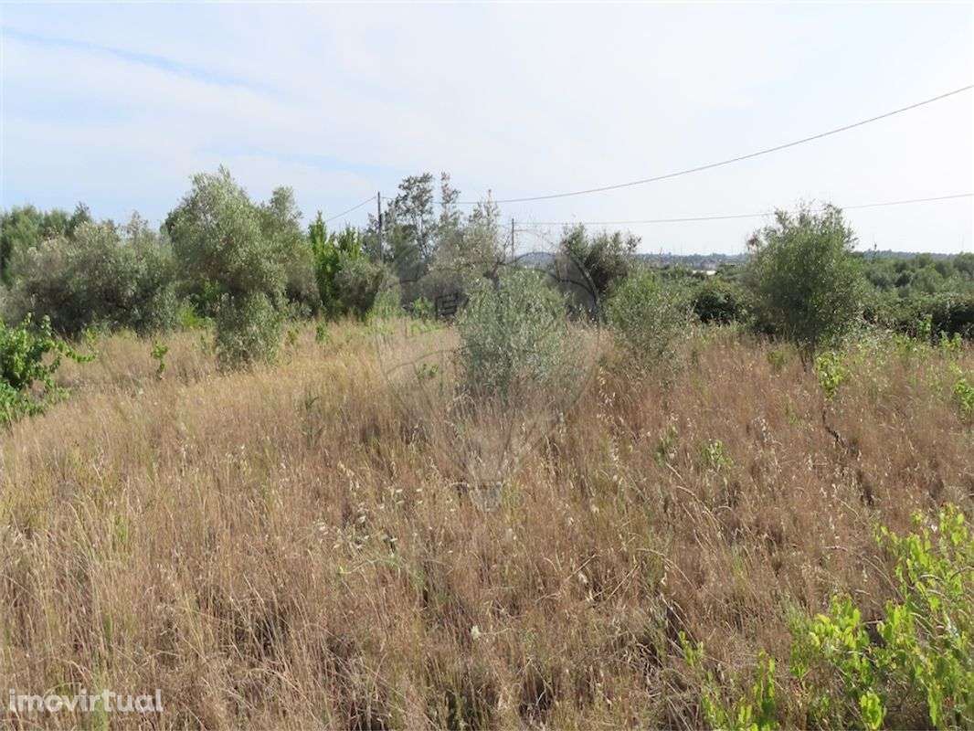 Quinta  para venda - Grande imagem: 4/12