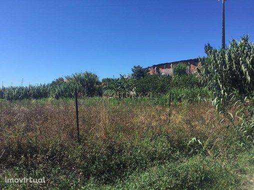 Terreno Rústico em zona urbana para construção. - Grande imagem: 5/5