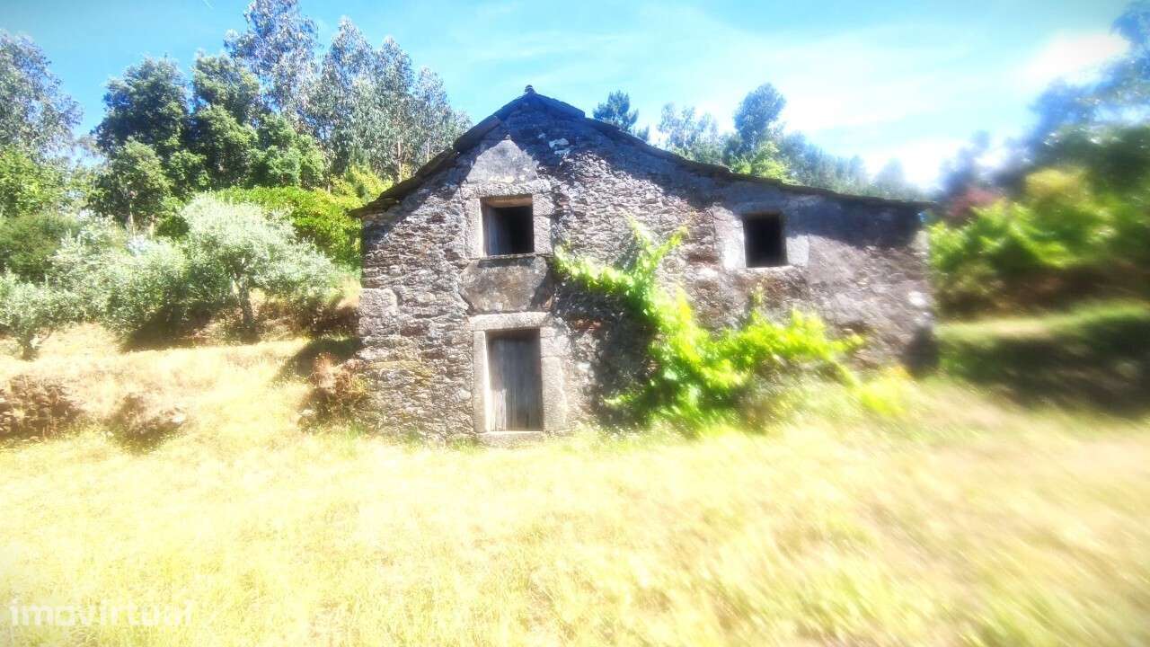 Casa/ Ruína em S. Miguel do Mato - Grande imagem: 2/26