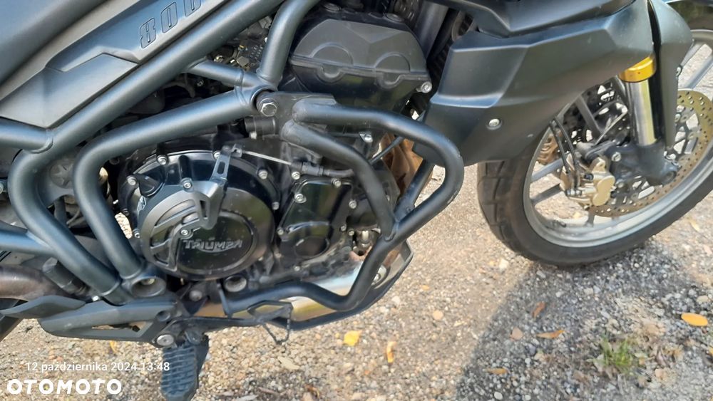 Triumph Tiger - 11