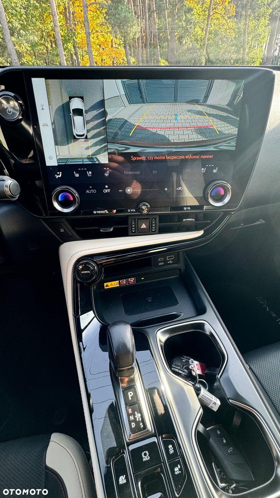 Lexus NX - 23