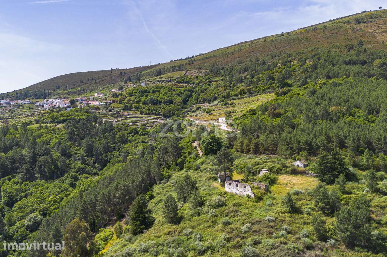 Quinta das Beatas, Gouvães do Douro - Grande imagem: 4/20