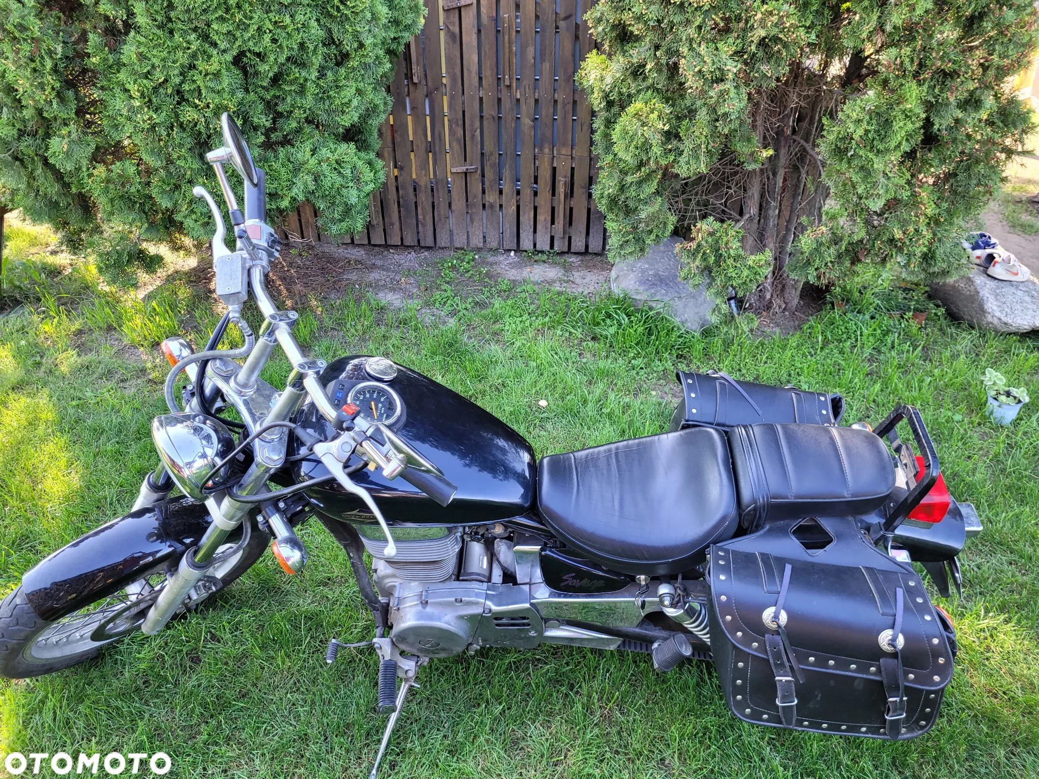 Suzuki Savage - 8