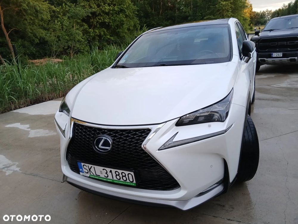 Lexus NX 300h F Sport AWD - 19