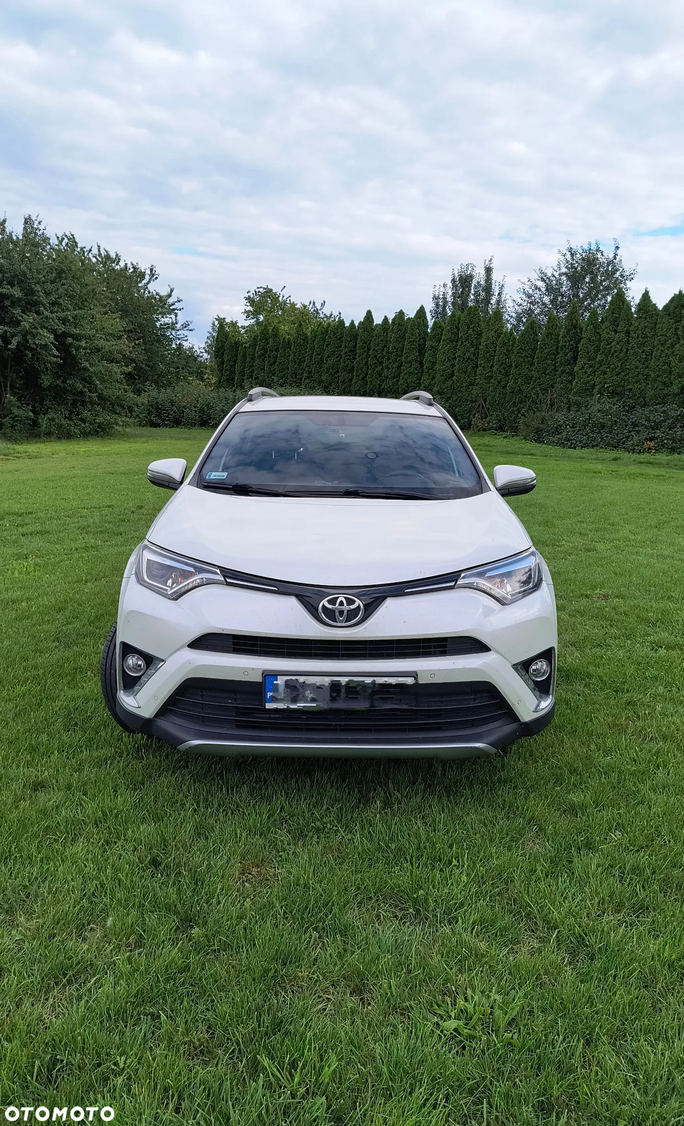 Toyota RAV4 2.0 Prestige MS - 12