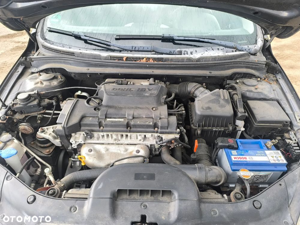 Kia Ceed 2.0 CVVT Automatik TX - 5