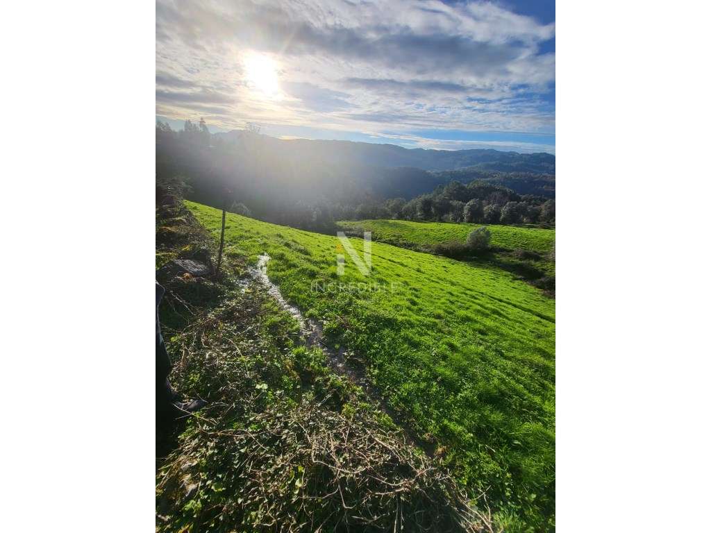 Terreno Rústico 8500 m² em Abadim, Cabeceiras de Basto - Grande imagem: 4/9