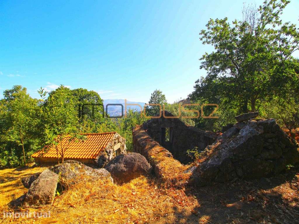 Quinta de 2ha com vista panorâmica - Freigil - Grande imagem: 3/23