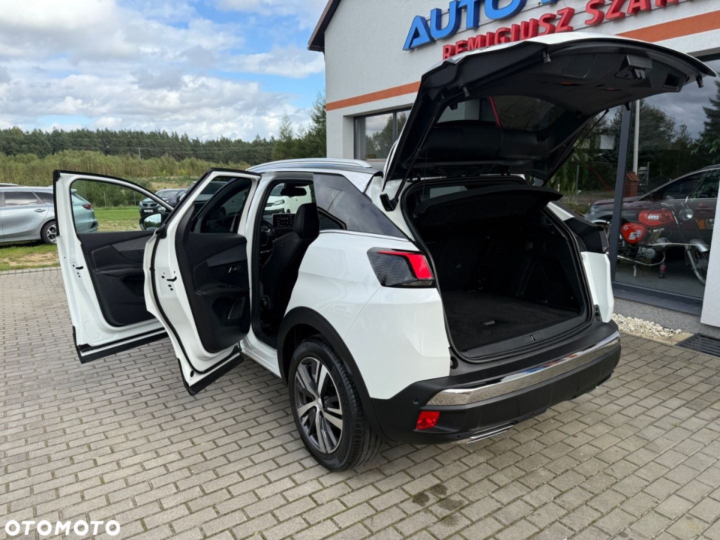 Peugeot 3008 - 15