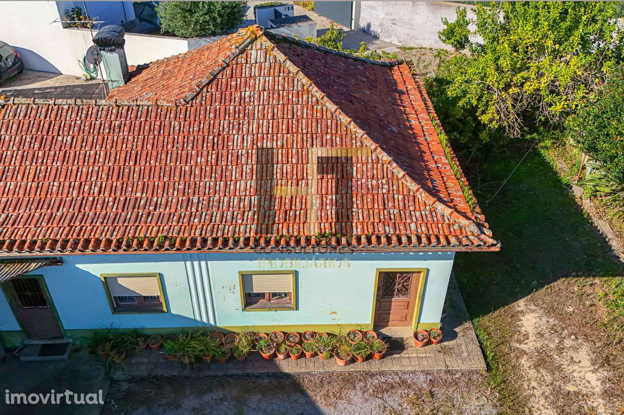 Moradia Térrea T3 com Terreno de 1500m² para Renovar – São Pedro - Grande imagem: 4/16