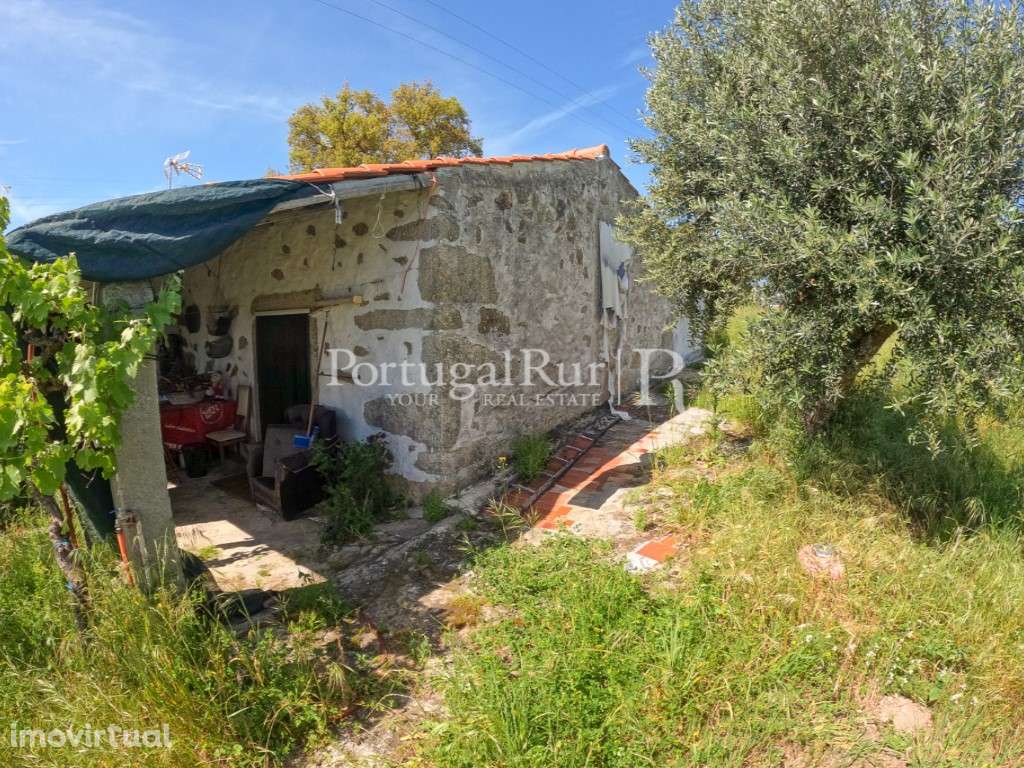 Quintinha T1 com piscina - Grande imagem: 3/31