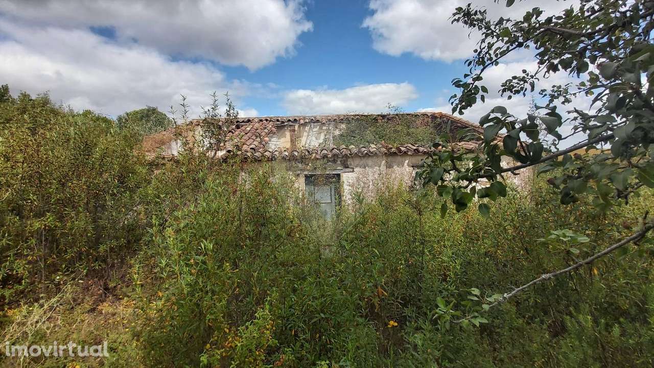 Quinta T2 para venda - Grande imagem: 4/10