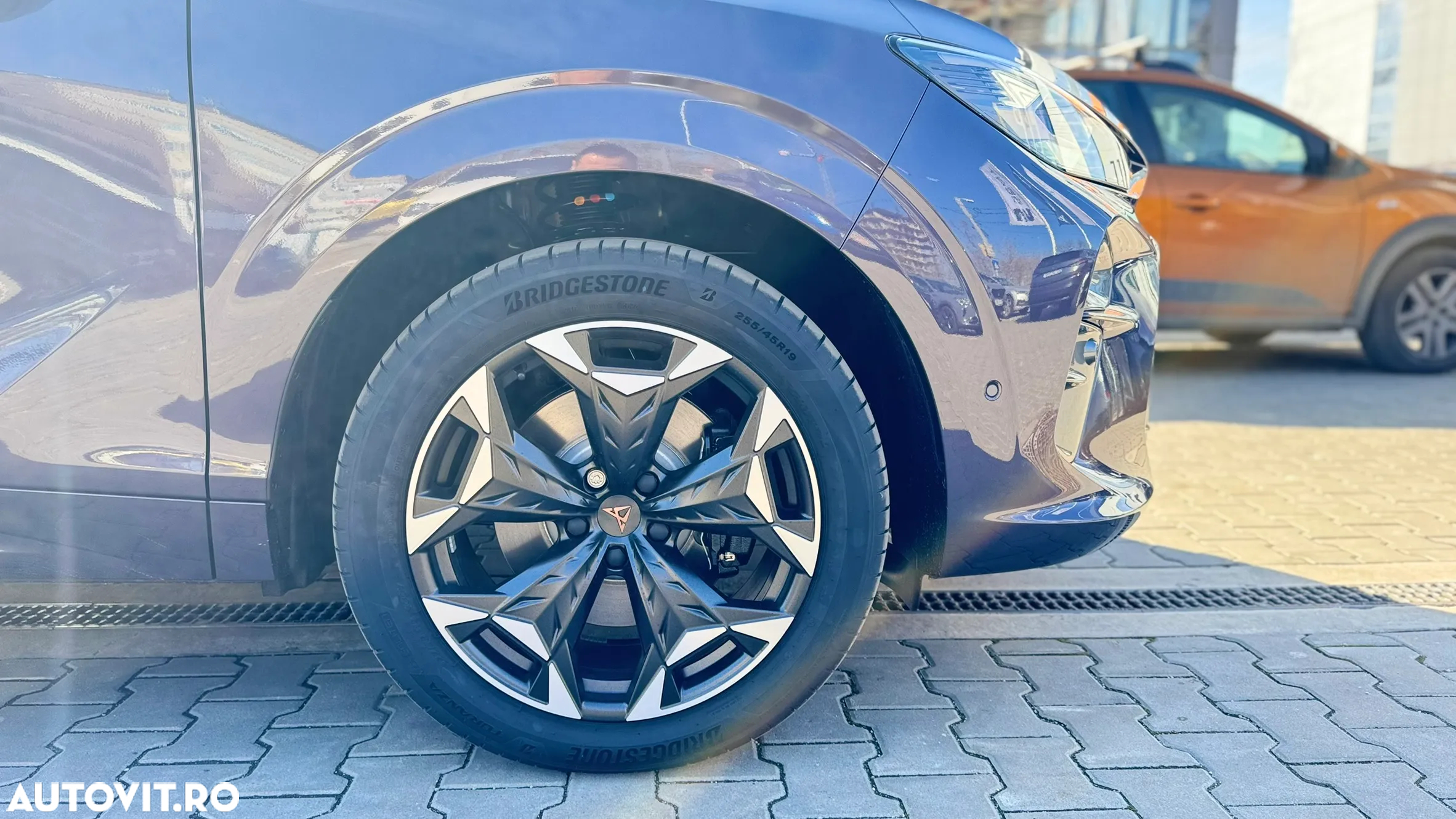 Cupra Terramar - 16