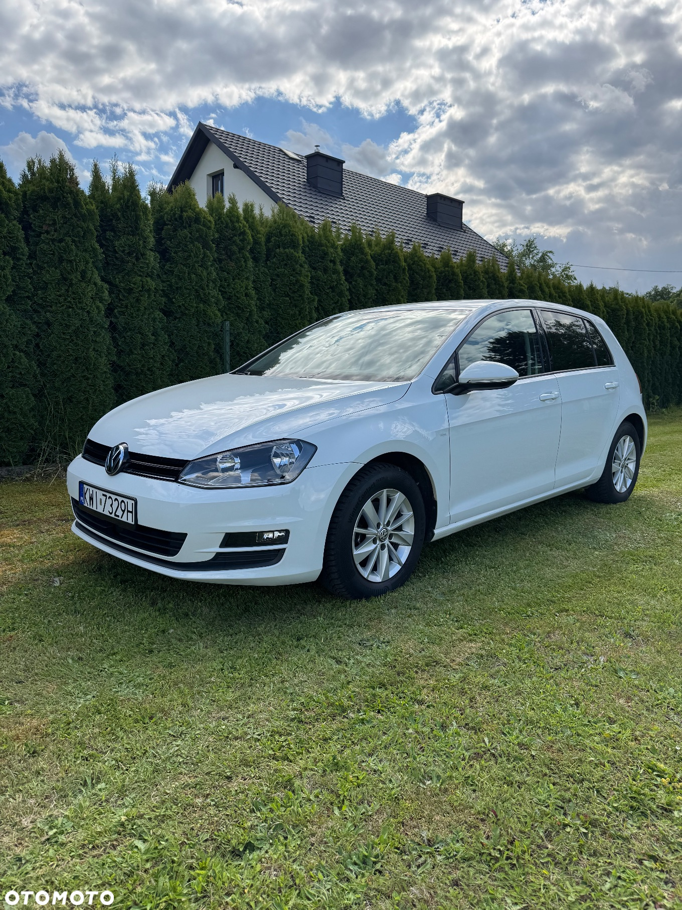 Volkswagen Golf - 6