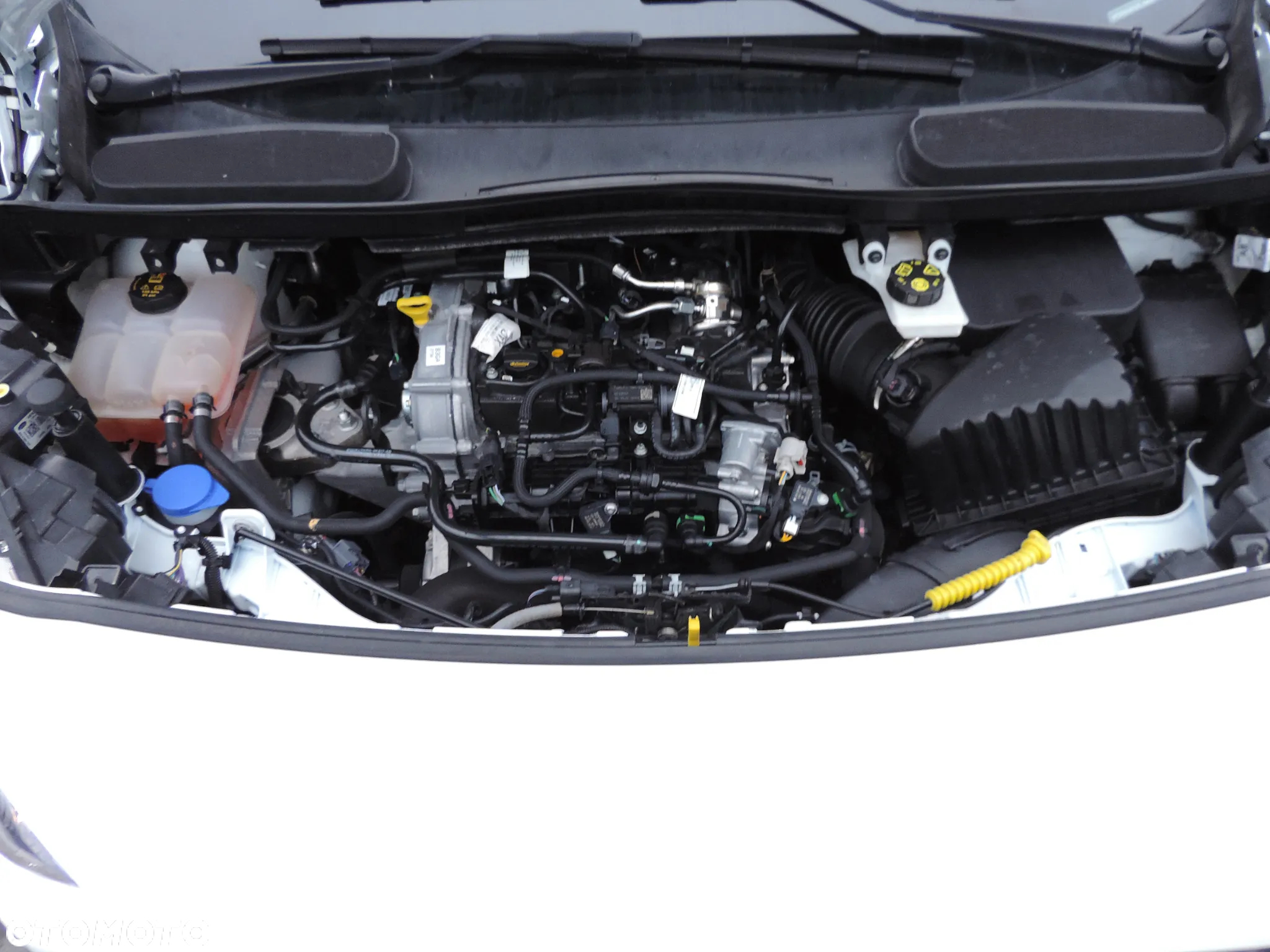 Ford Transit Connect - 16