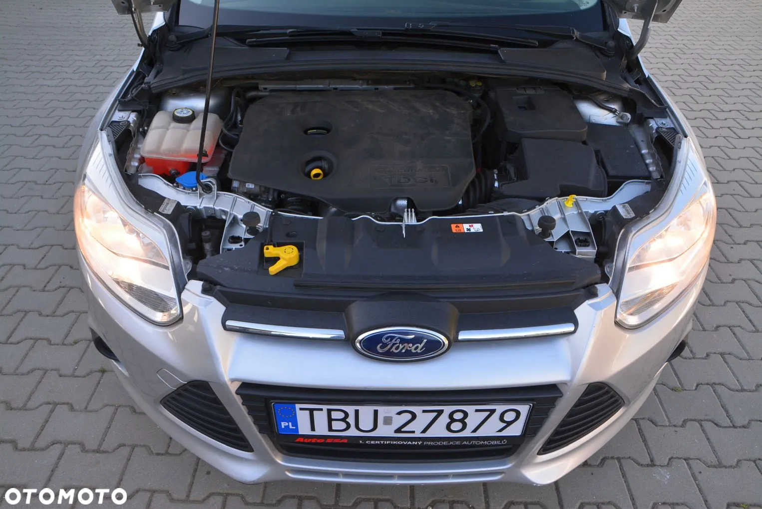 Ford Focus - 8