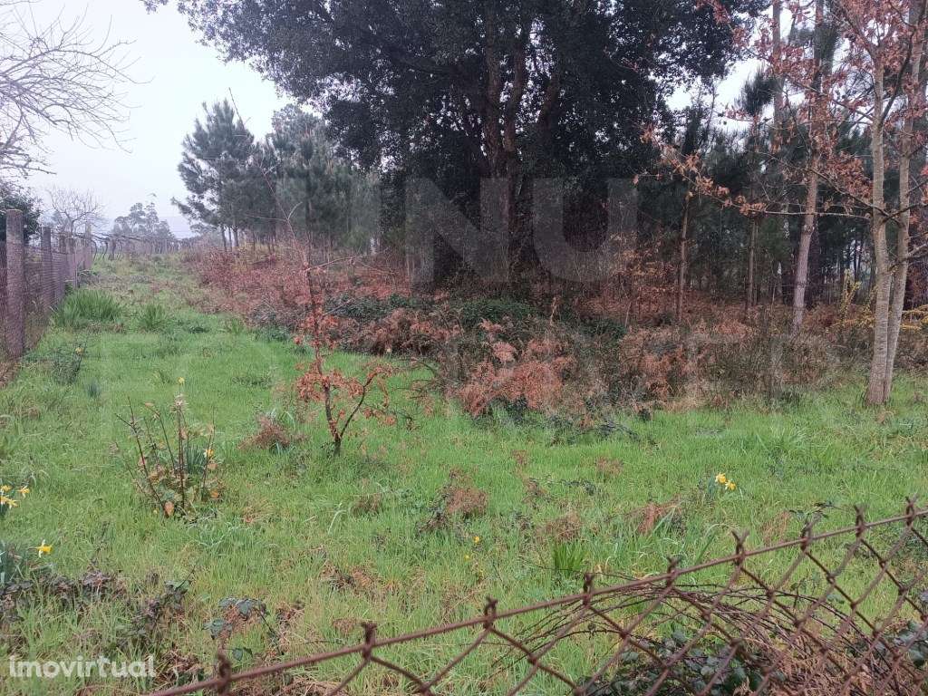 Terreno Passos, Cerdal - Grande imagem: 4/5