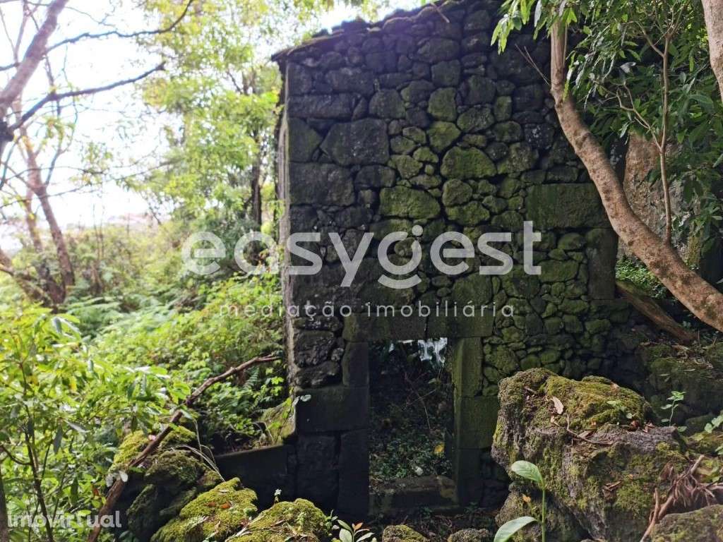 Ruina típica da ilha do Pico para recuperar na freguesia de São João - Grande imagem: 3/21