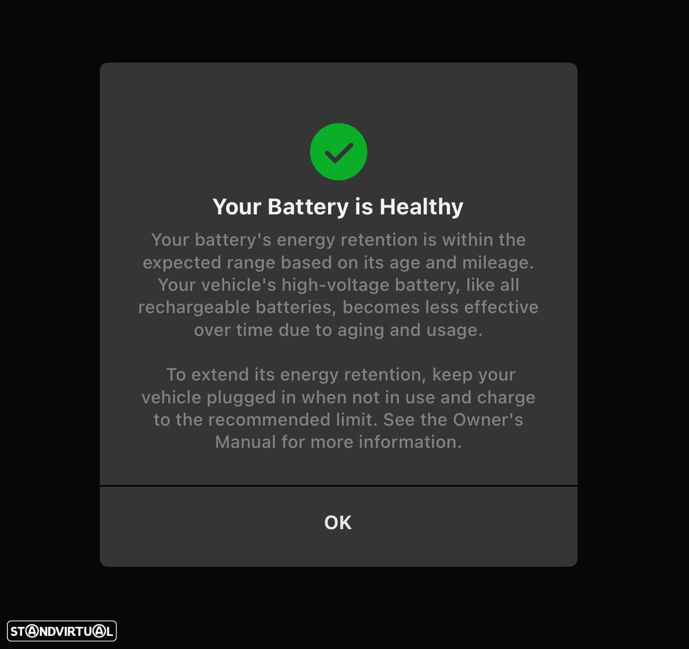 Tesla Model 3 Performance Dual Motor AWD - 19