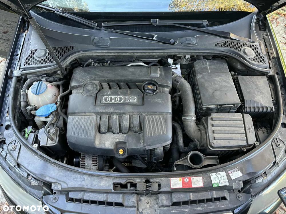 Audi A3 1.6 Ambiente - 10