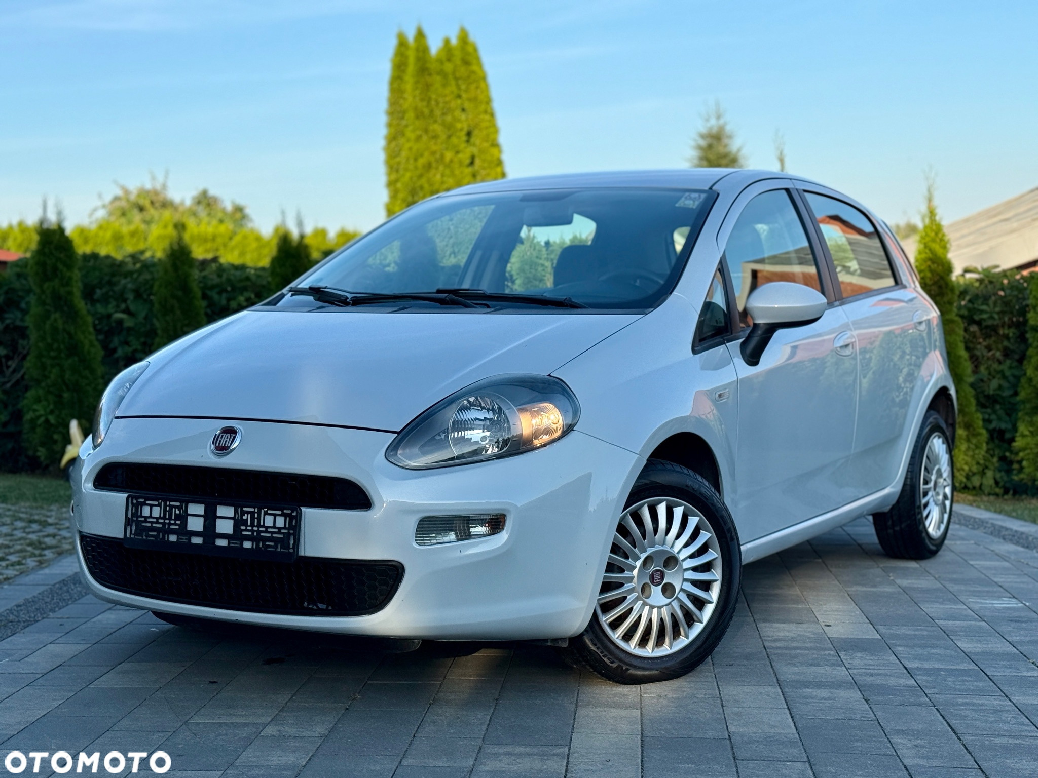 Fiat Punto Evo - 2
