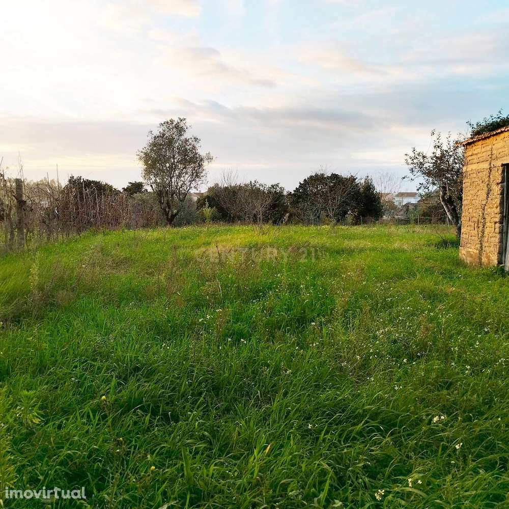 Terreno em Pouca pena - Soure - Grande imagem: 2/14