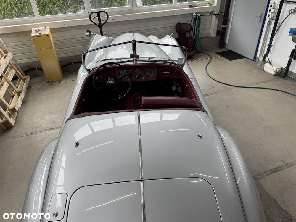Jaguar Inny - 8