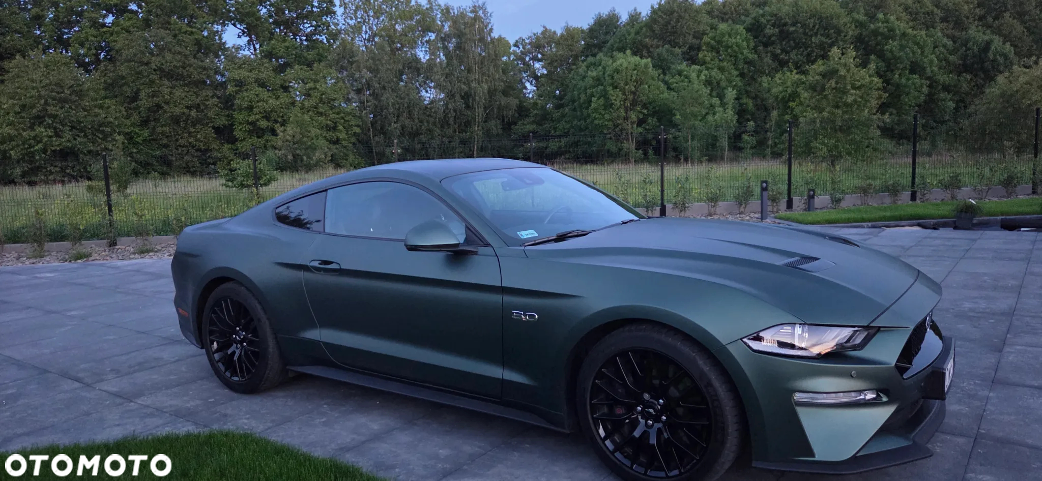 Ford Mustang 5.0 V8 GT - 16