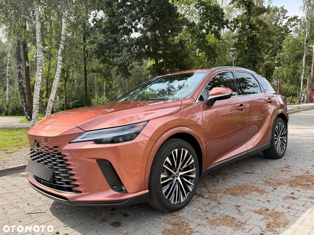 Lexus RX 300 Business Edition - 1