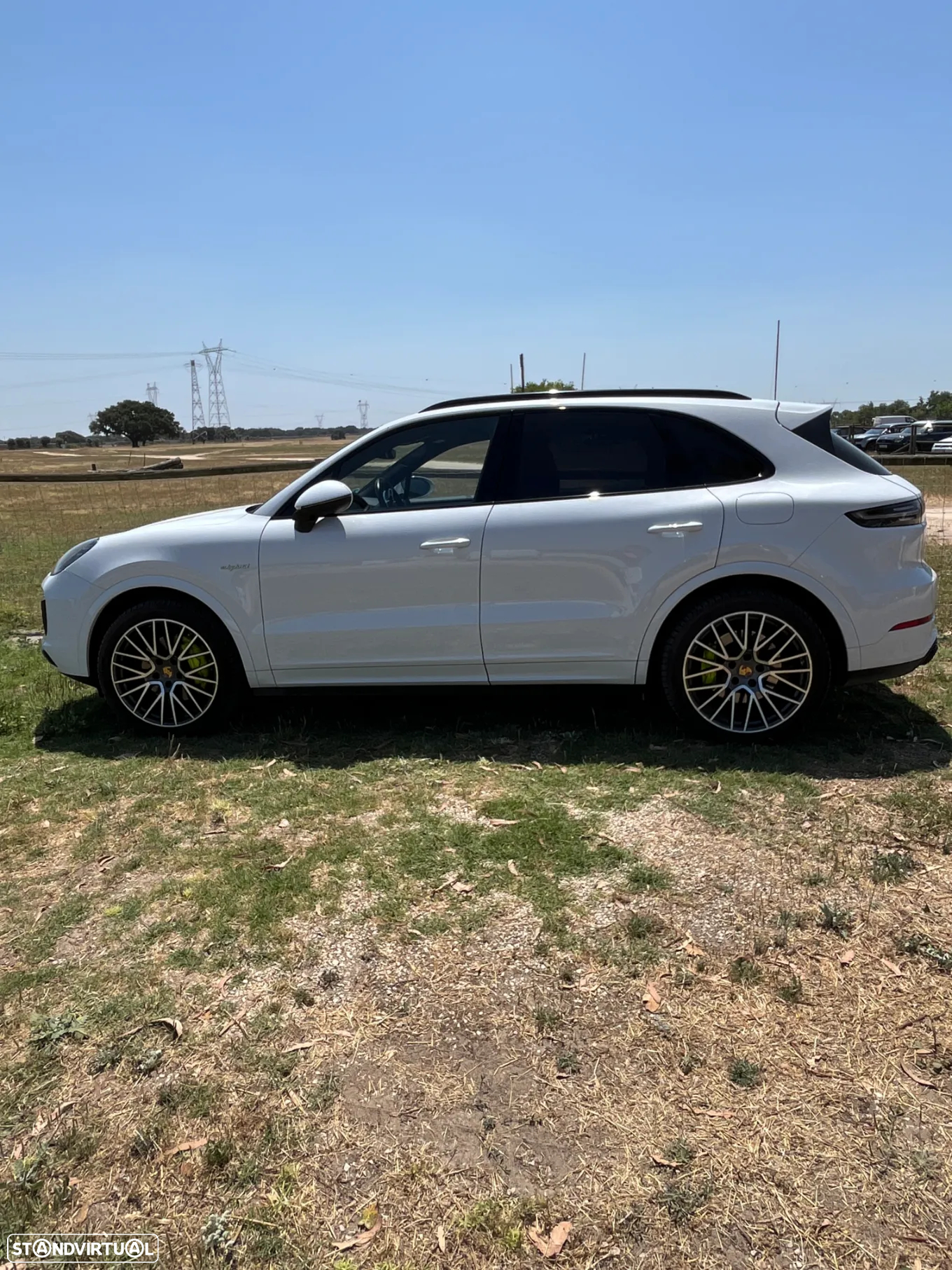 Porsche Cayenne E-Hybrid Platinum Edition - 16