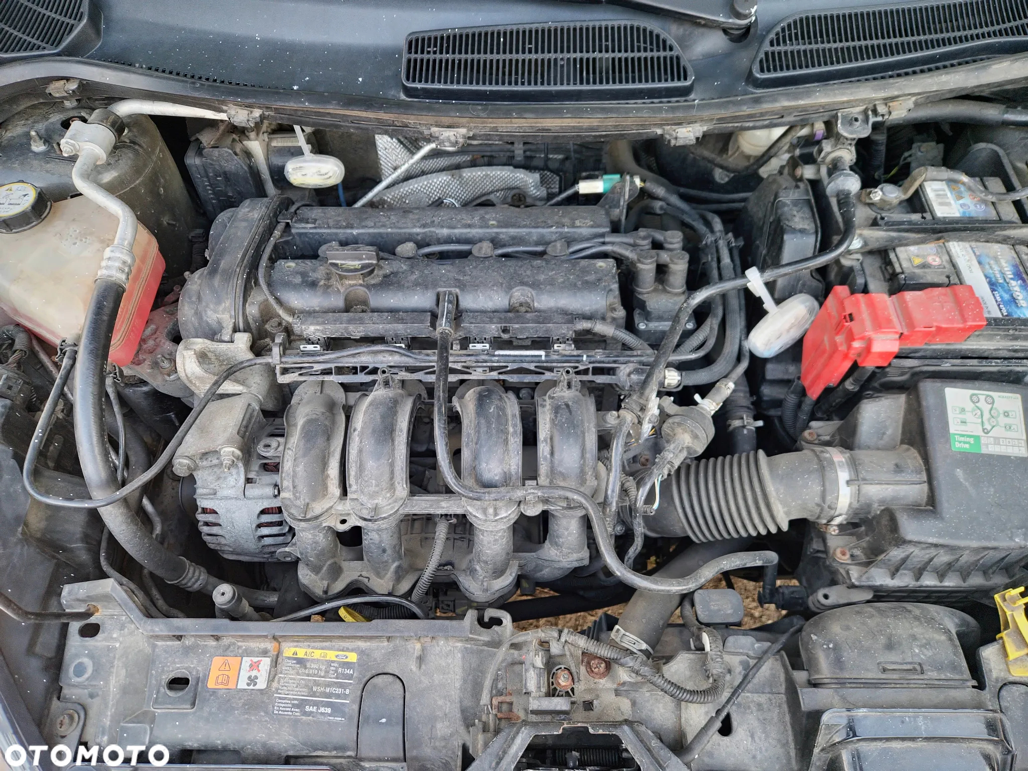 Ford Fiesta 1.25 Ambiente - 22