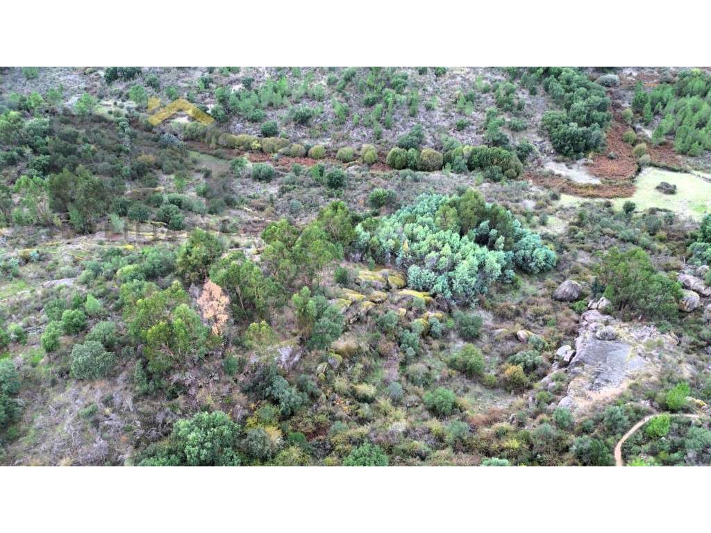 Terreno rustico com 12.750m2 para venda em Cafede! - Grande imagem: 2/7