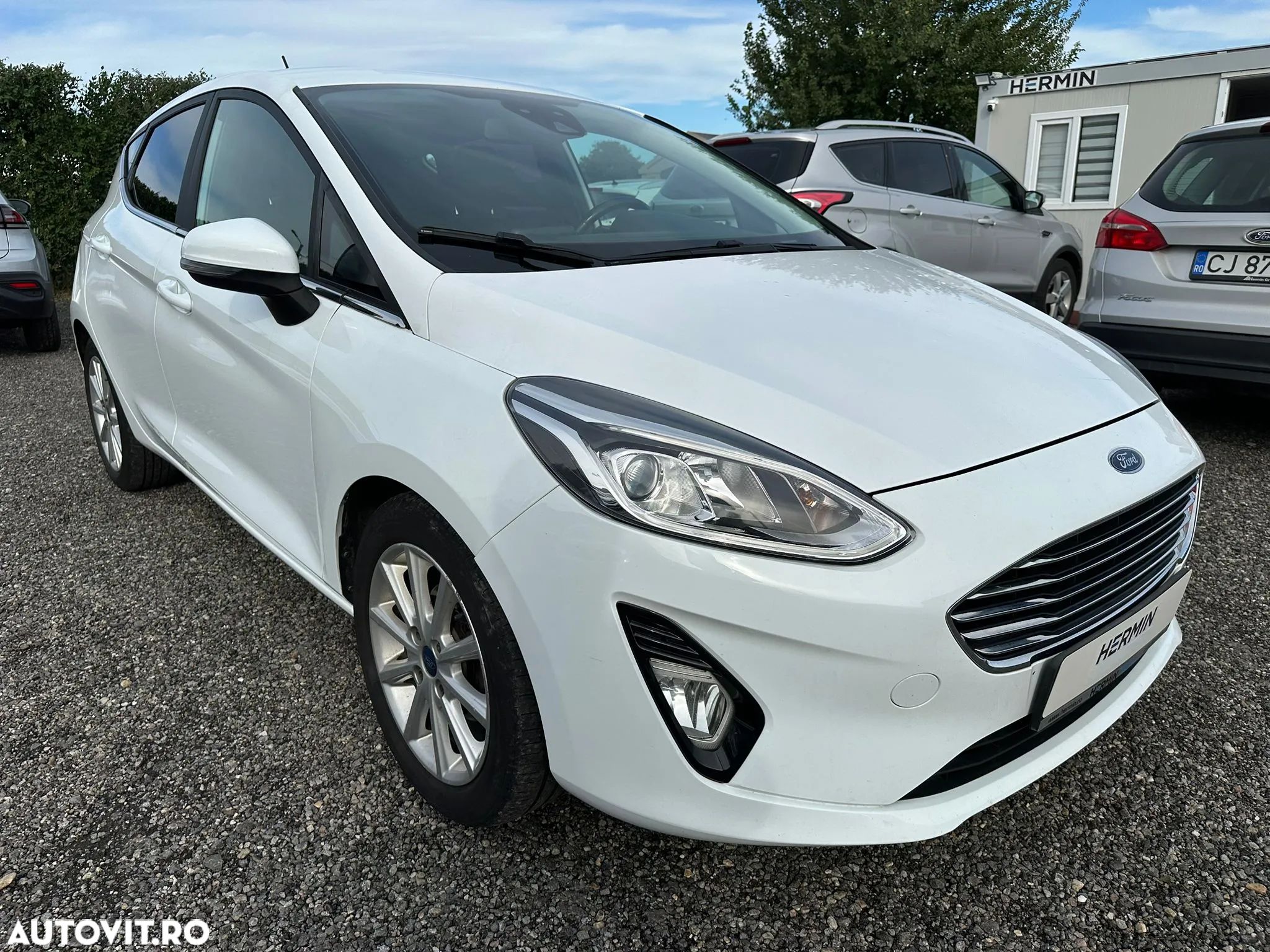Ford Fiesta - 1