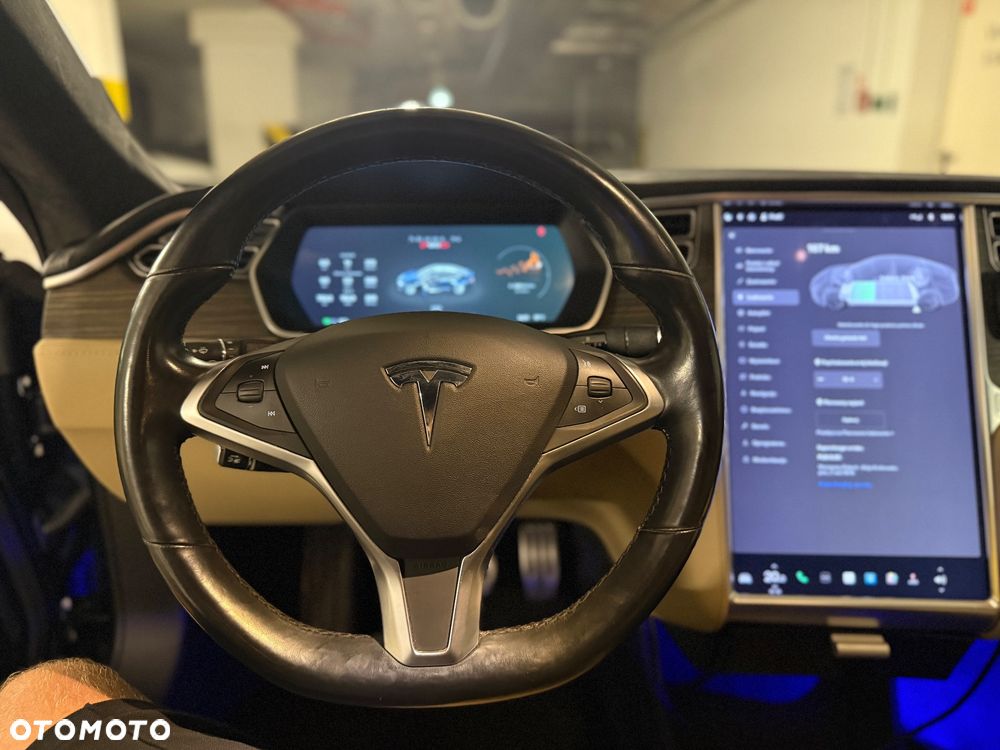 Tesla Model S Performance - 11