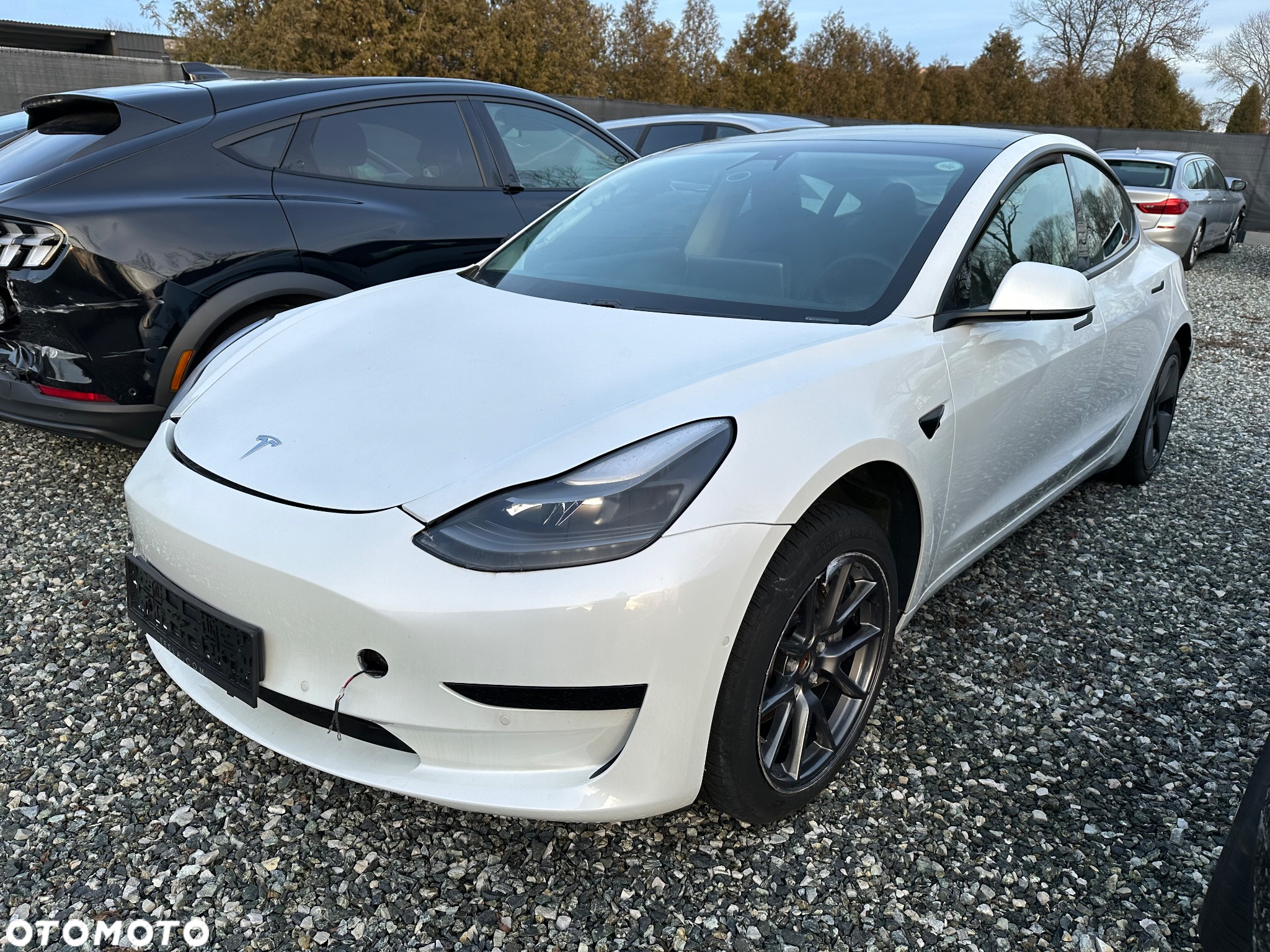 Tesla Model 3 Standard Reichweite Plus Hinterradantrieb - 12