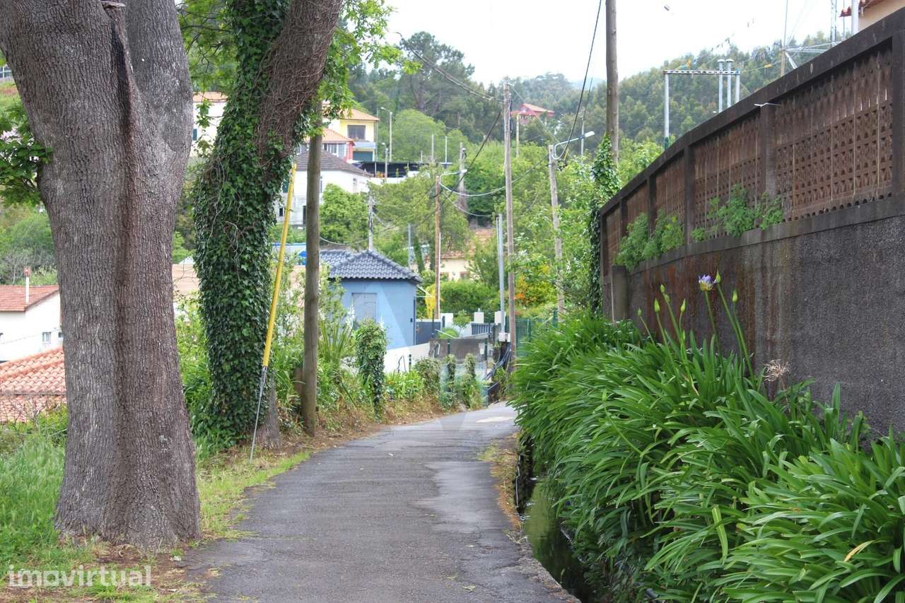 Terreno na levada da serra - Rochão (Achadinha) Camacha - Grande imagem: 4/15